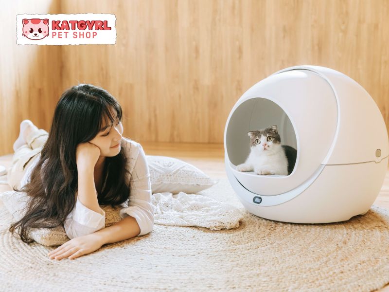 danh sách 8 mẫu máy vệ sinh cho mèo tốt nhất