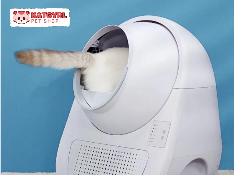 nhà vệ sinh dọn phân mèo tự động CatLink 