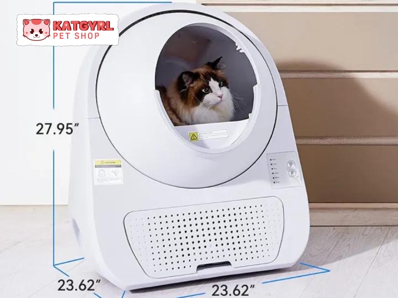 Máy dọn vệ sinh cho mèo catlink review
