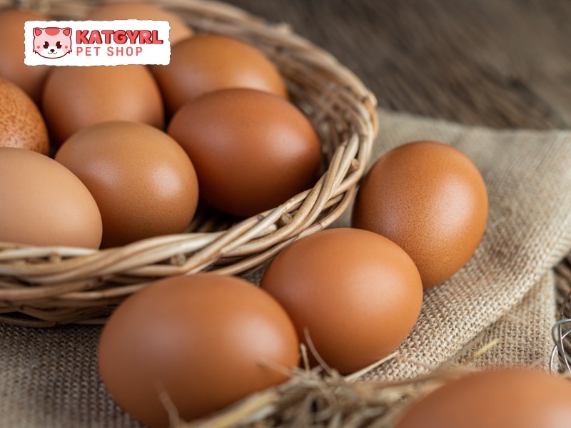 Trứng có nhiều vitamin tốt cho da và lông mèo