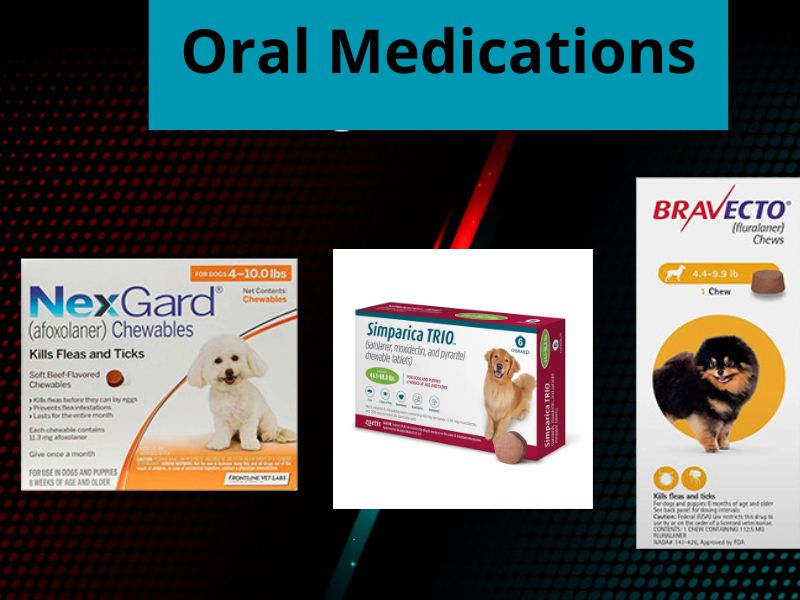 These medications circulate in your dog's bloodstream, killing fleas and ticks when they bite.